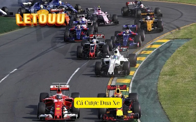 Cá Cược Đua Xe