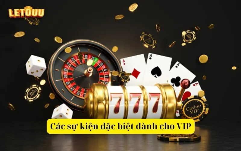 Các sự kiện đặc biệt dành cho VIP