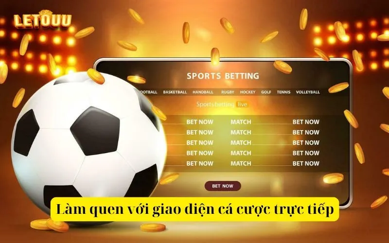 Làm quen với giao diện cá cược trực tiếp