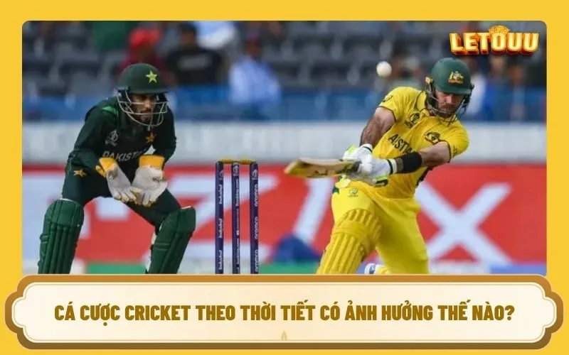 Cá cược Cricket theo thời tiết có ảnh hưởng thế nào